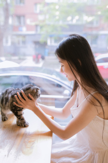 电波教师